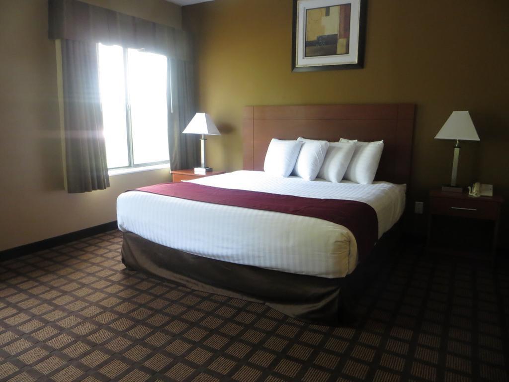Baymont By Wyndham New Buffalo Room photo
